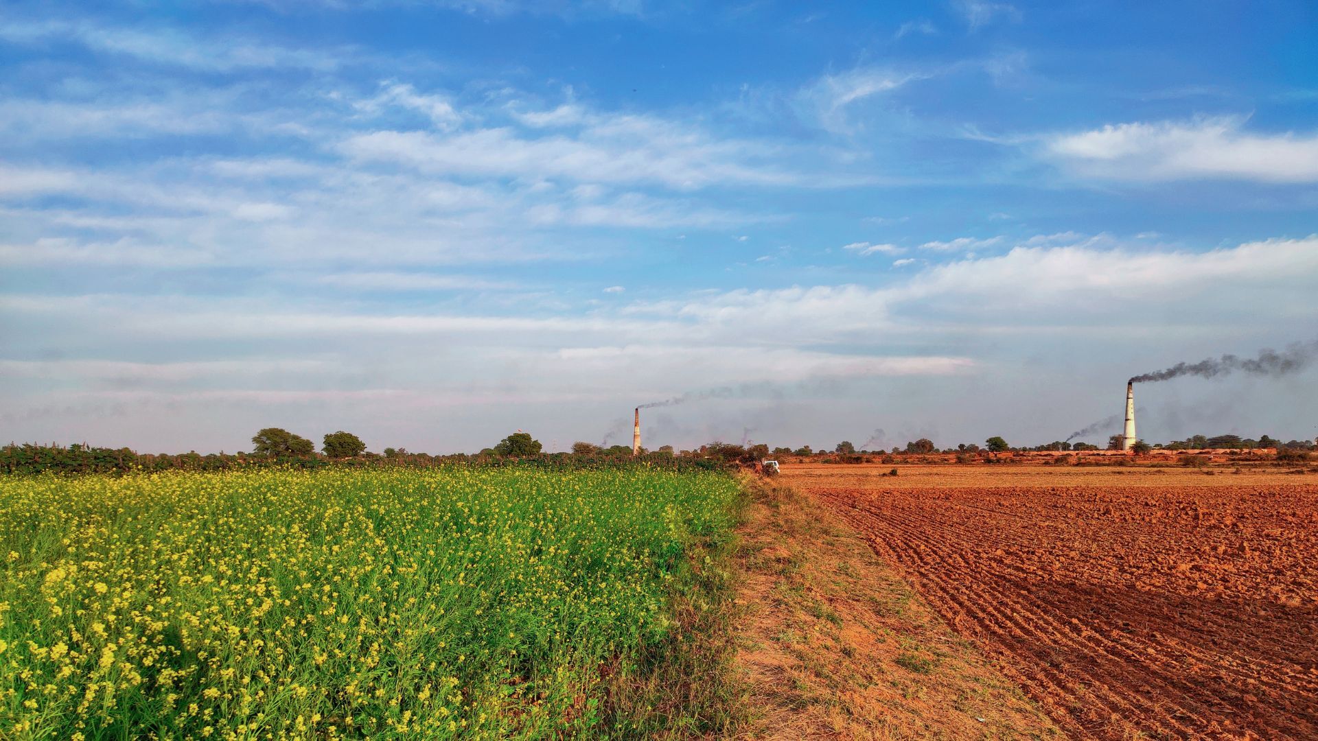 comparison comparison