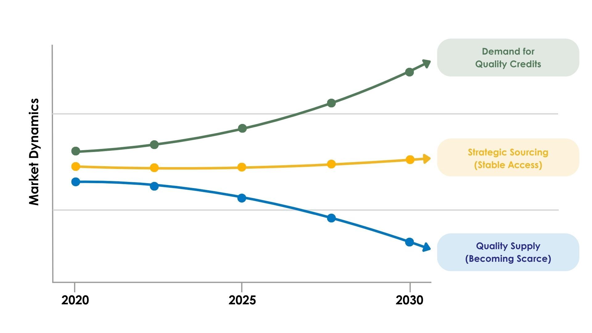 market dynamics